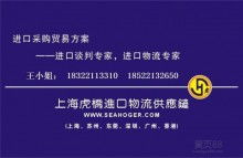 網上貿易代理 數字時代的外貿新橋梁